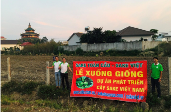 Sake Toàn Cầu - Sake Việt : Lễ xuống giống 