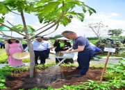 SỰ KIỆN CHIẾN LƯỢC - KHÁNH THÀNH VƯỜN THỰC PHẨM CỘNG ĐỒNG: KHI CÂY SA KÊ TRỞ THÀNH BIỂU TƯỢNG CỦA HÀNH TINH XANH