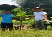 HÒA BÌNH: BƯỚC MỞ RỘNG CHIẾN LƯỢC VÀ KHÁT VỌNG CHINH PHỤC THỊ TRƯỜNG PHÍA BẮC