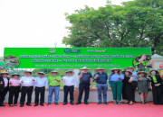  CÂY SA KÊ & FOODBANK: HÀNH TRÌNH TRAO SINH KẾ, GỬI AN NINH LƯƠNG THỰC