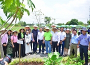 Tham gia Lễ khánh thành mô hình Vườn thực phẩm cộng đồng - Trường Đại học Nông Lâm TP.HCM (Nong Lam - Food Bank Garden)