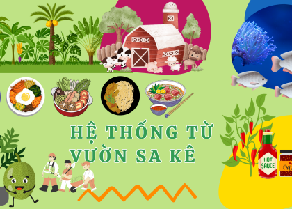 TẦM NHÌN & SỨ MỆNH 