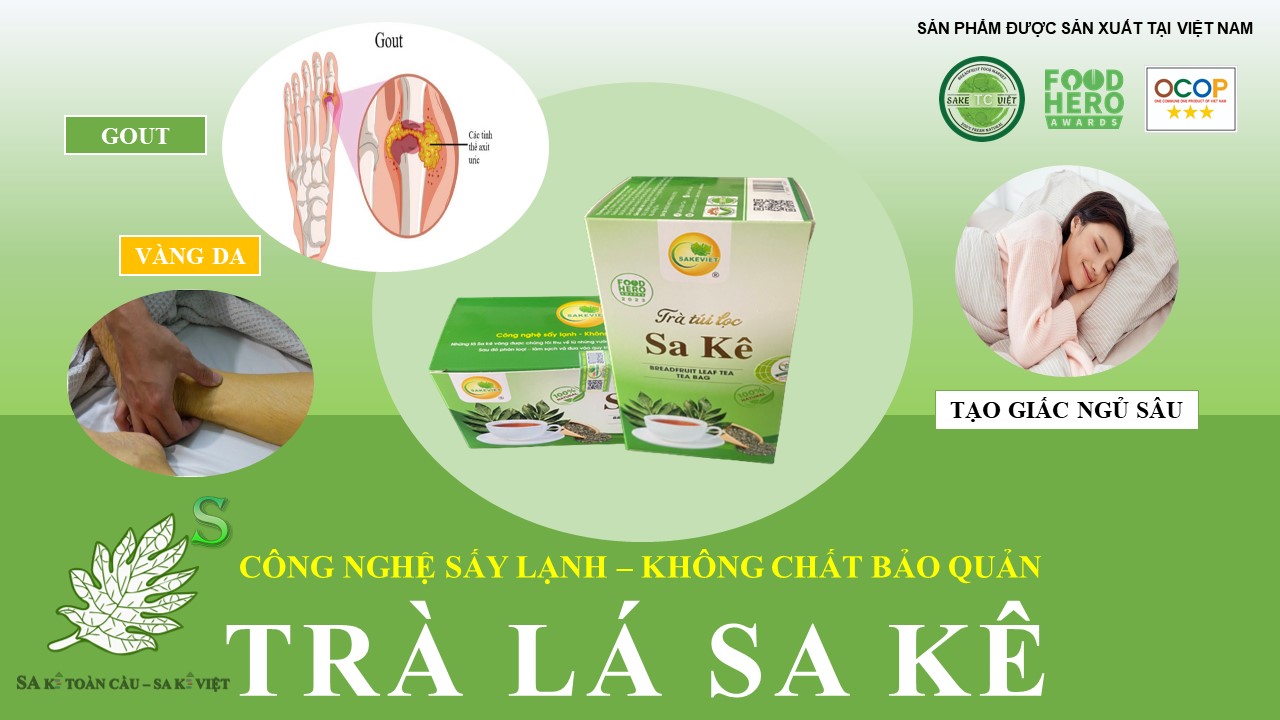 SA KÊ TOÀN CẦU - SA KÊ VIỆT 