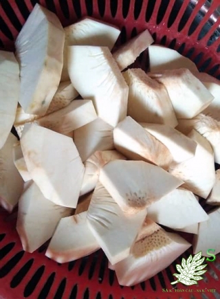 QUẢ SA KÊ LOẠI 1